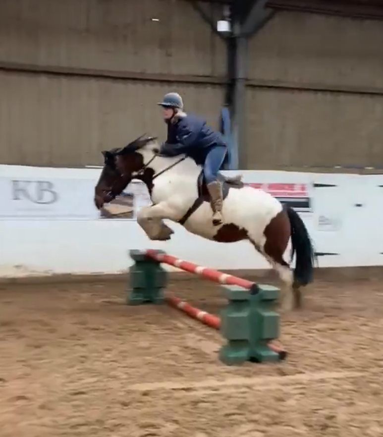 F9filly