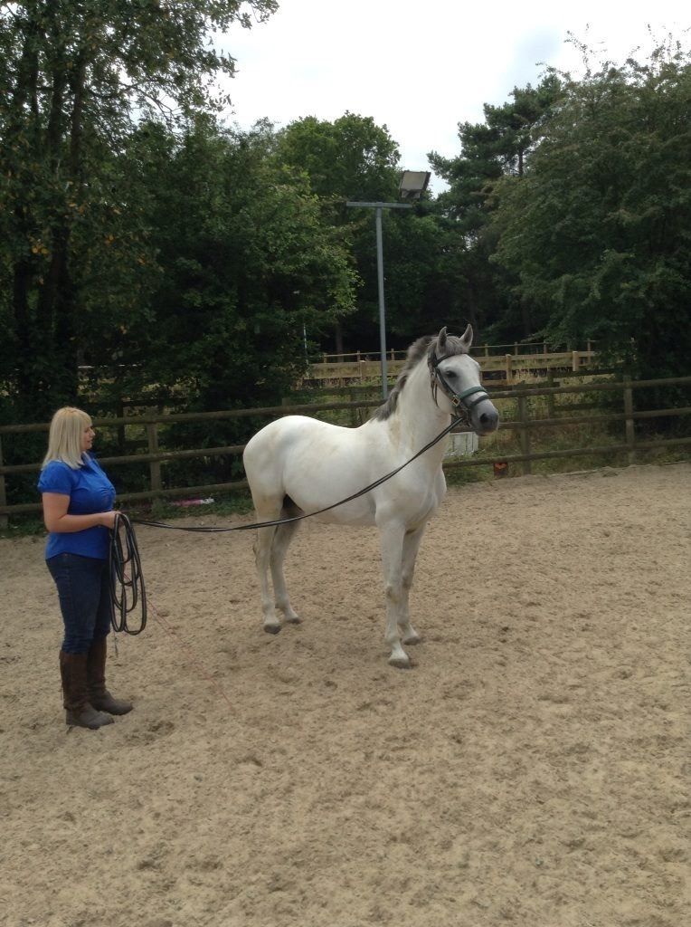 F9filly