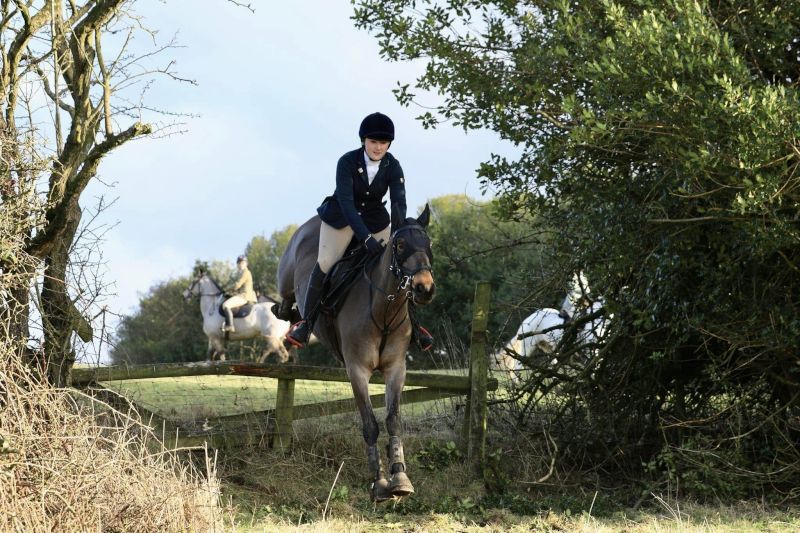 horseygirldee